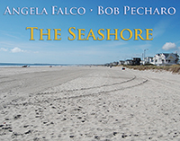 The Seashore cover