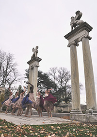 Photo Gallery